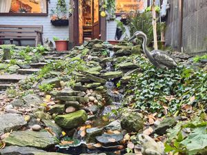 Garden- click for photo gallery